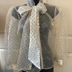 Elegant Sheer Polka Dot Blouse